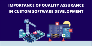 Custom Software Development