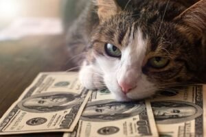 Financial Troubles